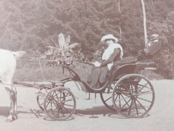 Régi képeslap fotó levelezőlap hölgy lovas hintó