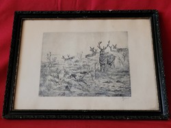 Deer antique marked etching