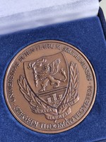 University of Szeged bronze alloy plaque