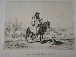 Kőrös horse, etching