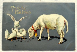 Antik  Húsvéti üdvözlő grafikus képeslap bárány csengővel galambok