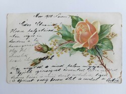 Régi virágos képeslap 1900 levelezőlap sárga rózsa