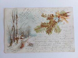 Old postcard 1899 postcard snowy landscape with pine branch