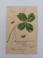 Old postcard 1900 postcard clover ladybug