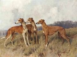 A. Wardle Három agár 1914 olajfestmény, reprint kutyás nyomat, whippet angol agár portré, kutya