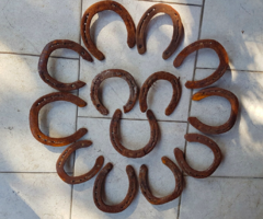 13 pieces of lucky horseshoes, together