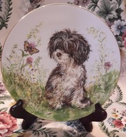 Dog, fabulous porcelain children's plate, decorative plate (l2684)