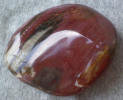 Madagascar petrified wood for Moroccan stone, for esoterica