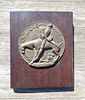 Olcsai kiss Zoltán: Don Quixote plaque on a wooden base