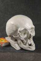 Herend rare skull bookend 236
