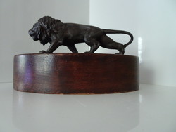 Beautiful condition of a spy lion on a wooden platform.