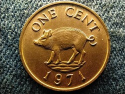 Bermuda ii. Erzsébet wild boar 1 cent 1971 (id57227)