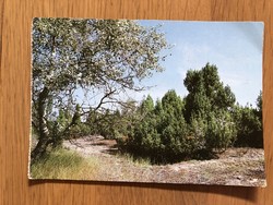 Kiskunság National Park postcard - post office