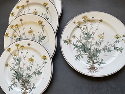 Villeroy and boch botanica flat plates 4 + 1