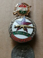 Military - worker's guard mini and national defense badge