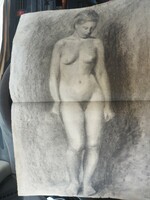 Sümegi vera charcoal drawing, nude, approx. A2 size, folded in half