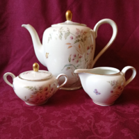 Antique schirnding porcelain tea set