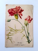 Old floral postcard carnation postcard