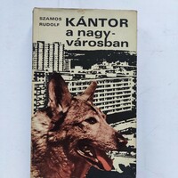 Szamos Rudolf: Kántor a nagyvárosban