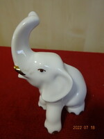 Aquincum porcelán figura, mini elefánt. Vanneki! Jókai.