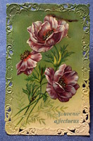 Antik szecessziós dombornyomott csipke szélű  üdvözlő litho képeslap  mákvirág