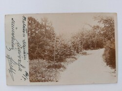 Old postcard photo postcard landscape