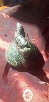 Old Chinese green jade dragon turtle - hongshan feng shui abundance statue