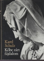 Karel Schultz: pain locked in stone - the life of Michelangelo