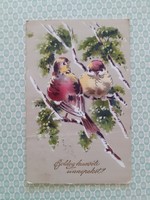 Old Easter postcard bird postcard