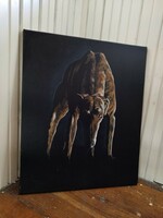 Greyhound painting (canvas 60x50)