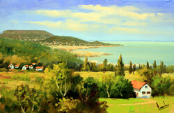Special price! Lute pearl: Balaton, Szigliget Bay 20x30 cm
