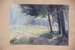 Beautiful cozy meadow landscape watercolor painting