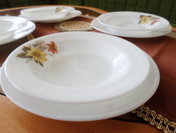 English, milk glass, Jena, heat-resistant plate set, including spout