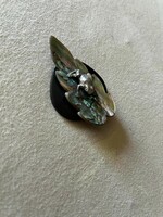 Clam shell with small frog