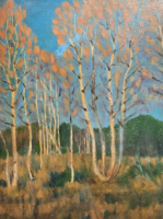 Birch trees (oil, cardboard, with frame 38x31 cm) unidentified artist - peaceful forest landscape