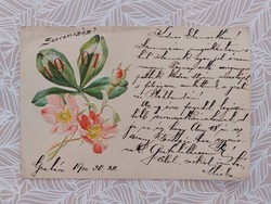 Régi dombornyomott képeslap 1901 levelezőlap lóhere vadrózsa