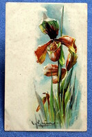 Antik Klein dombornyomott litho üdvözlő művész képeslap  orchidea