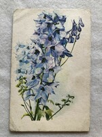 Old floral postcard, picture postcard - drawing by Zsuzsa Gonda