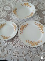 Dinner set for 6 people with a golden edge and autumn pattern