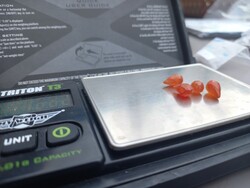 7.8 Ct carnelian briolettes 4 drilled in one