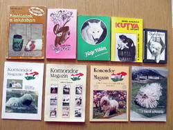 Komondor magazine / the Hungarian dog breeds / pets in the apartment / dog sports / agile lightning ...