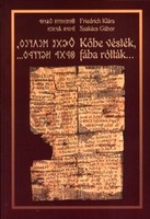 Carved in stone, written in wood (book on runic writing)