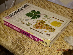 Márton Németh: ampelographic album 1975 (viticulture, winemaking, grapes, wine)