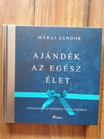 A gift for a lifetime - Sándor Marai 900 ft