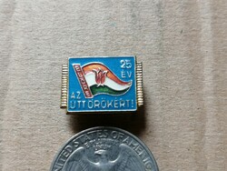 Pioneer - 25 years for pioneers badge