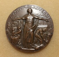 Riunione Adriatica di Sicurta Trieste   bronz plakett (82g 57mm) POSTA VAN !!!