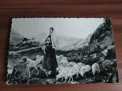 Lourdes képeslap 1954
