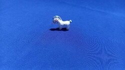 Rarity scurvy aquincumi aquazur, miniature horse, pony