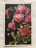 Antik Rózsa virágos képeslap - postatiszta