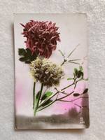 Antik virágos képeslap - 1924